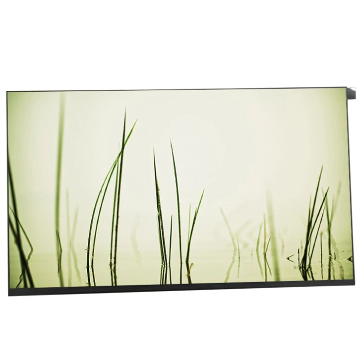 Endüstriyel İçin 15,6 İnç PV156FH1-M00 LCD Modül