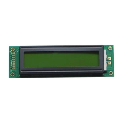 DMC-20481NY-LY-BKE-BNN Kaynağı 2,9 İnç LCD Ekran