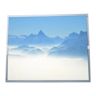 EV190E0M-N50 LCD Panel 19,0 İnç LCD Ekran