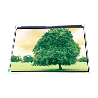 VVX09F006A00 Boyut 8,9 İnç 45 Pimli LCD Modül, Pedli ve Tabletli